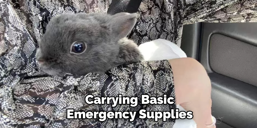 Carrying Basic
Emergency Supplies