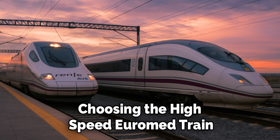 Choosing the High 
Speed Euromed Train