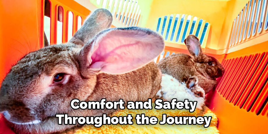 Comfort and Safety Throughout the Journey