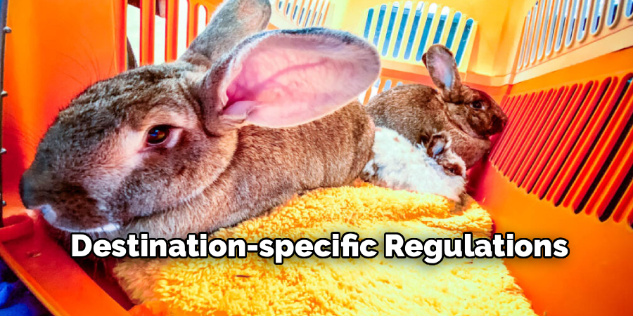 Destination-specific Regulations