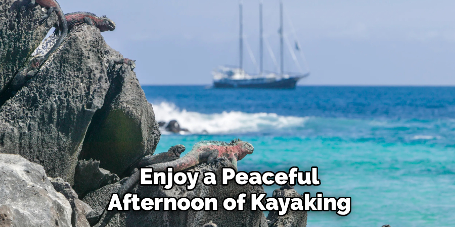 Enjoy a Peaceful
Afternoon of Kayaking