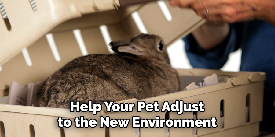 Help Your Pet Adjust
to the New Environment