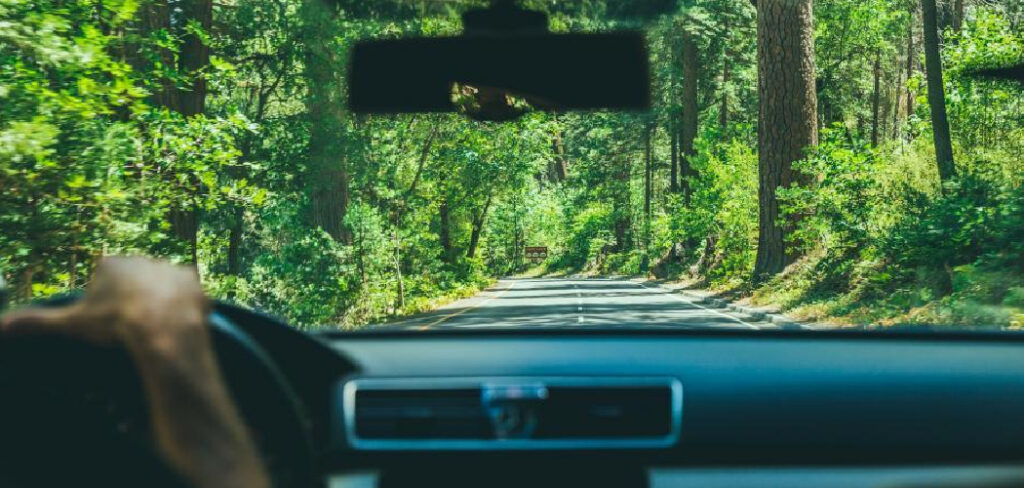 How to Travel With Plants in a Car
