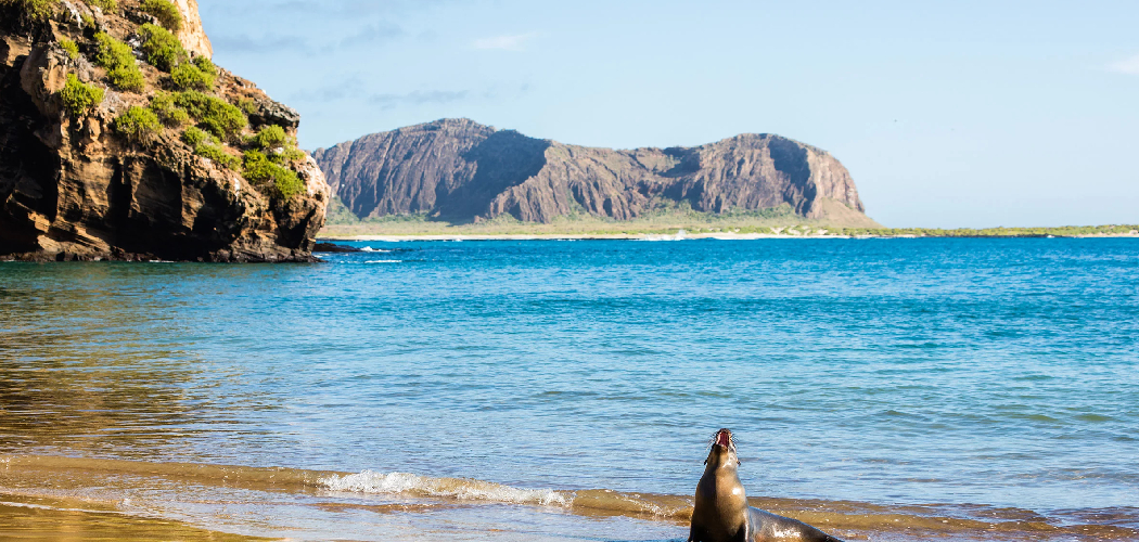 How to Travel to Galapagos Islands