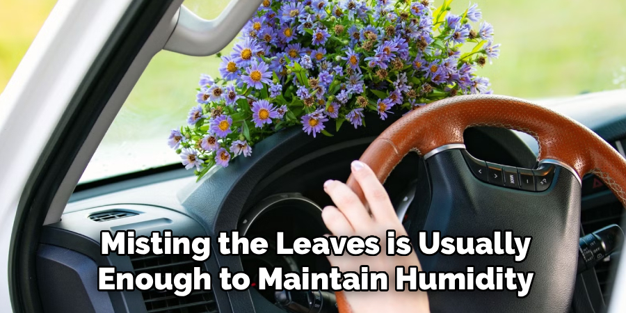Misting the Leaves is Usually
Enough to Maintain Humidity