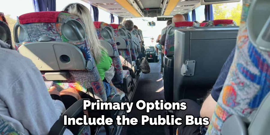 Primary Options 
Include the Public Bus
