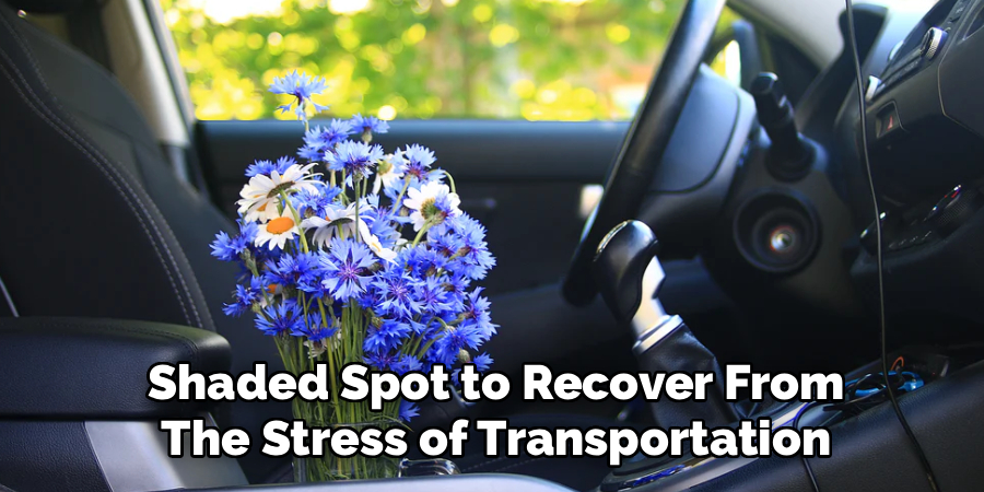 Shaded Spot to Recover From
The Stress of Transportation