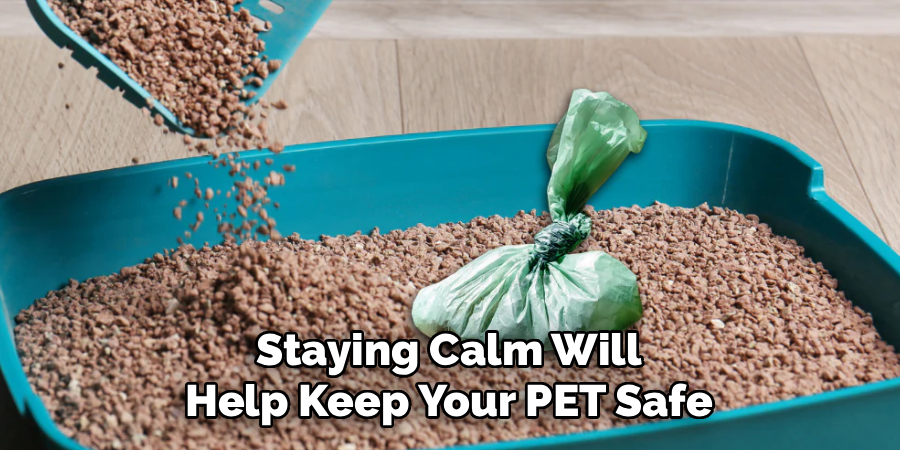 Staying Calm Will
Help Keep Your PET Safe