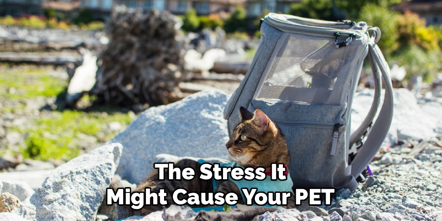 The Stress It
Might Cause Your PET