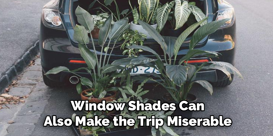 Window Shades Can
Also Make the Trip Miserable