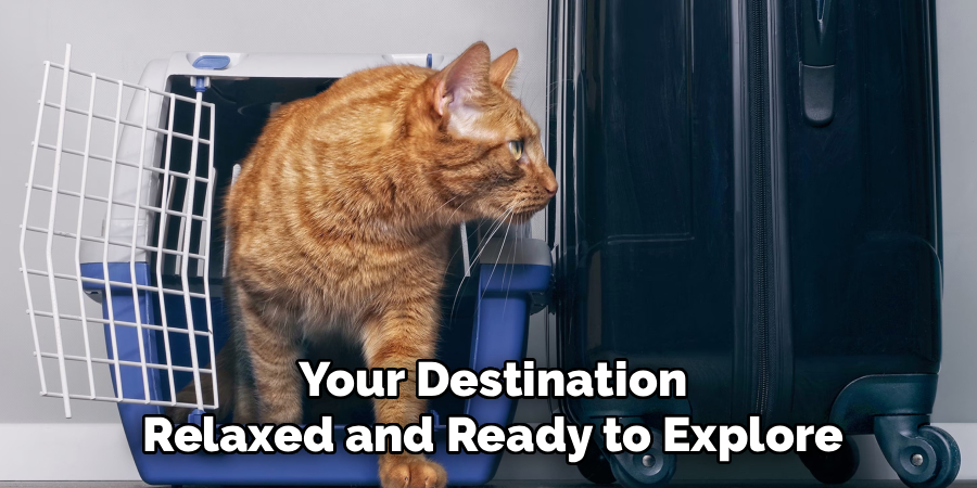 Your Destination
Relaxed and Ready to Explore