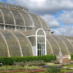 How to Visit Kew Gardens