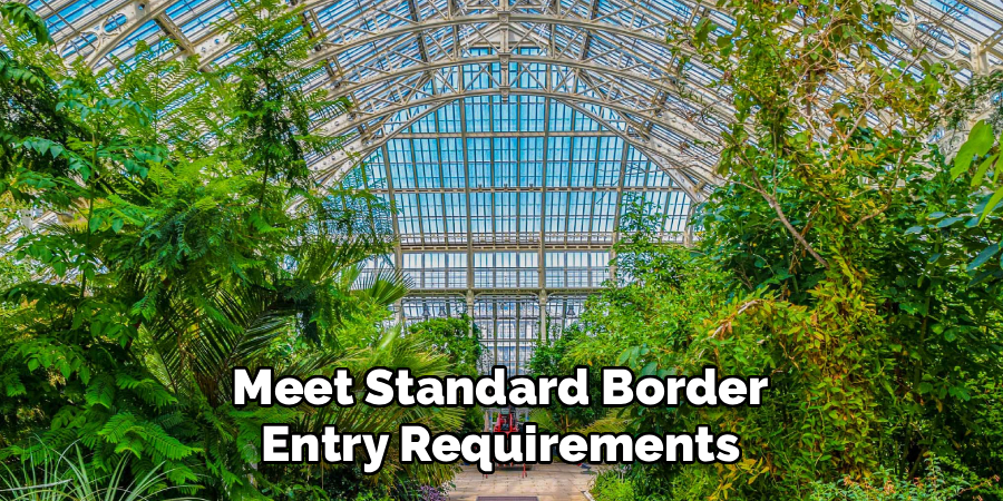 Meet Standard Border Entry Requirements