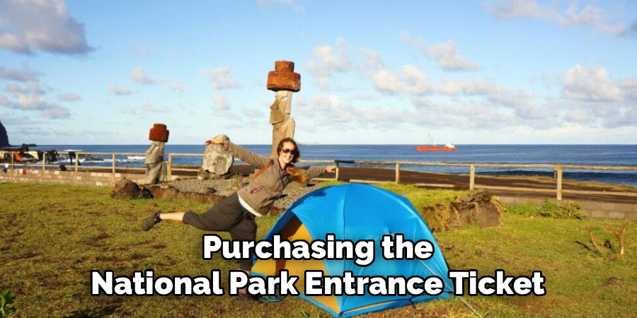 Purchasing the National Park Entrance Ticket