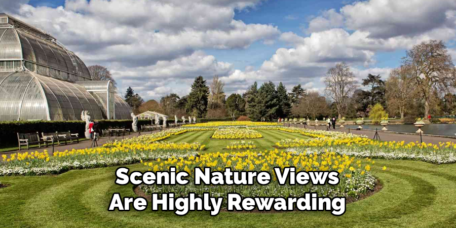 Scenic Nature Views Are Highly Rewarding