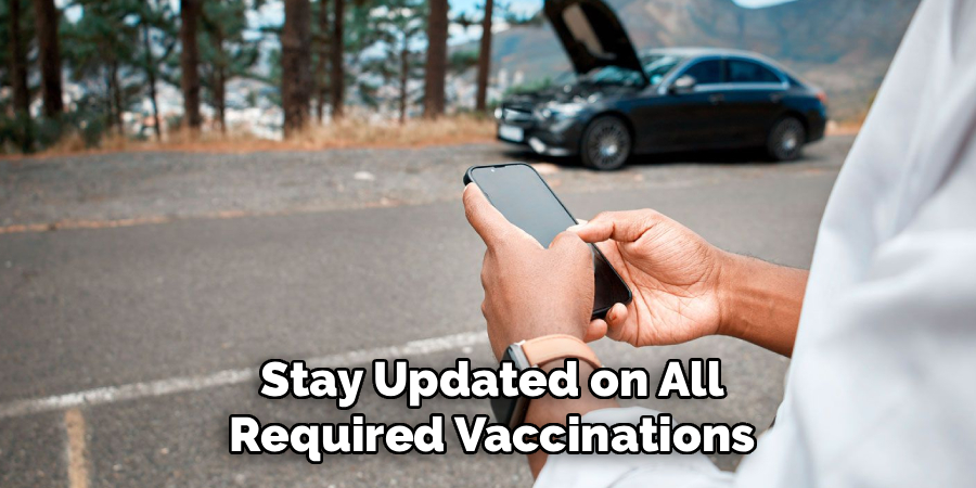 Stay Updated on All Required Vaccinations
