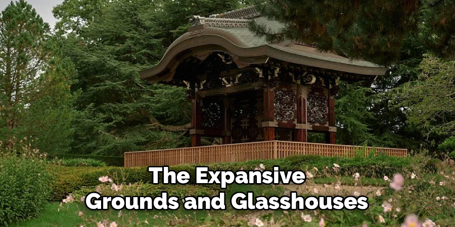 The Expansive Grounds and Glasshouses