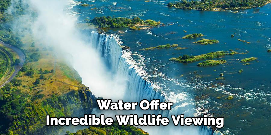 Water Offer Incredible Wildlife Viewing